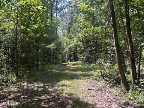 12371 Mcnair Rd NW, Roxie, MS 39661 photo 25