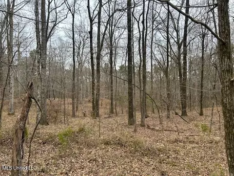 12371 Mcnair Rd NW, Roxie, MS 39661 photo 46