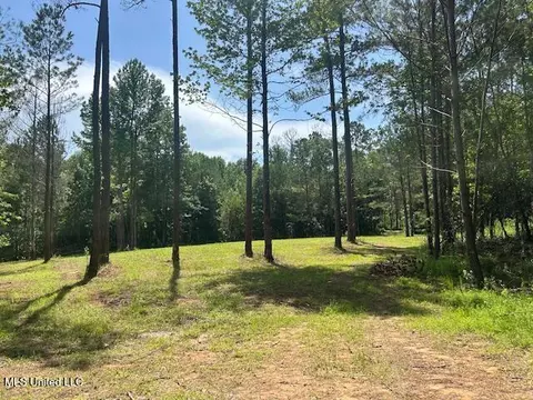 12371 Mcnair Rd NW, Roxie, MS 39661 photo 28