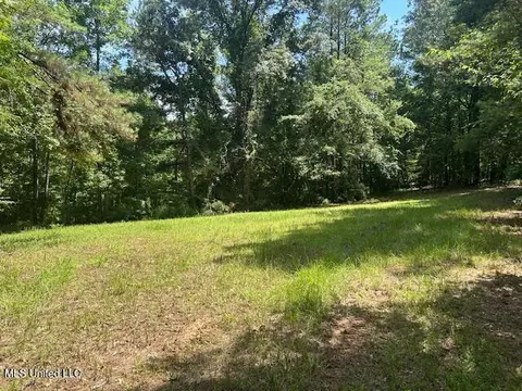 12371 Mcnair Rd NW, Roxie, MS 39661 photo 18