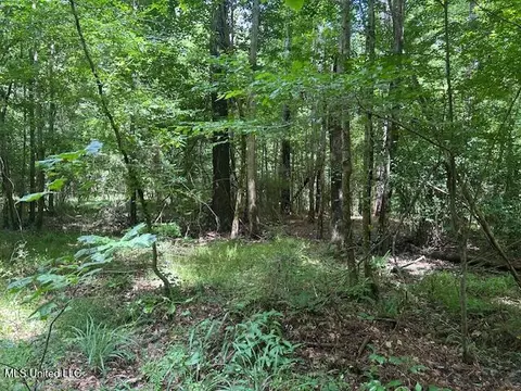 12371 Mcnair Rd NW, Roxie, MS 39661 photo 16