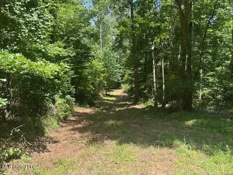 12371 Mcnair Rd NW, Roxie, MS 39661 photo 19