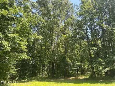 12371 Mcnair Rd NW, Roxie, MS 39661 photo 23