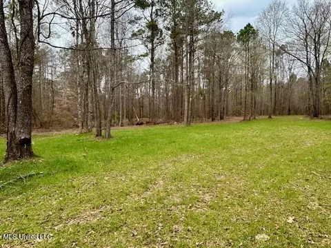 12371 Mcnair Rd NW, Roxie, MS 39661 photo 47