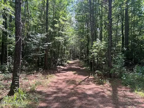 12371 Mcnair Rd NW, Roxie, MS 39661 photo 27