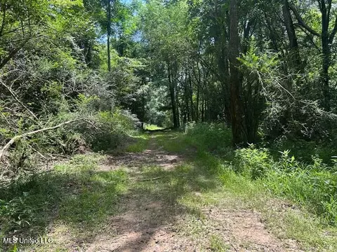 12371 Mcnair Rd NW, Roxie, MS 39661 photo 15