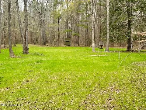 12371 Mcnair Rd NW, Roxie, MS 39661 photo 48