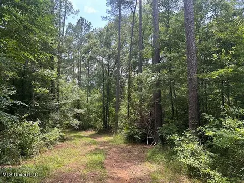 12371 Mcnair Rd NW, Roxie, MS 39661 photo 26