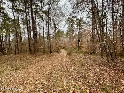 12371 Mcnair Rd NW, Roxie, MS 39661 photo 51