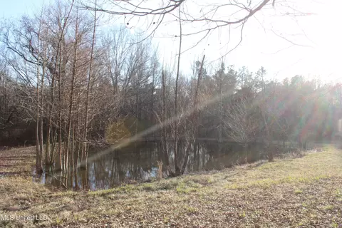 4299 Byhalia Rd, Hernando, MS 38632 photo 14