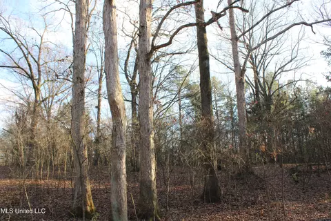4299 Byhalia Rd, Hernando, MS 38632 photo 21