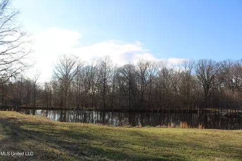 4299 Byhalia Rd, Hernando, MS 38632 photo 7