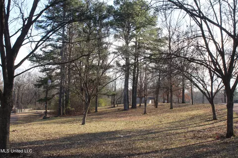 4299 Byhalia Rd, Hernando, MS 38632 photo 26