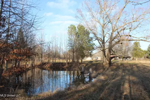 4299 Byhalia Rd, Hernando, MS 38632 photo 22