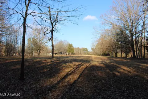 4299 Byhalia Rd, Hernando, MS 38632 photo 20