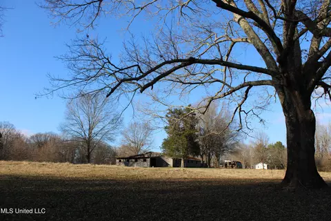 4299 Byhalia Rd, Hernando, MS 38632 photo 15