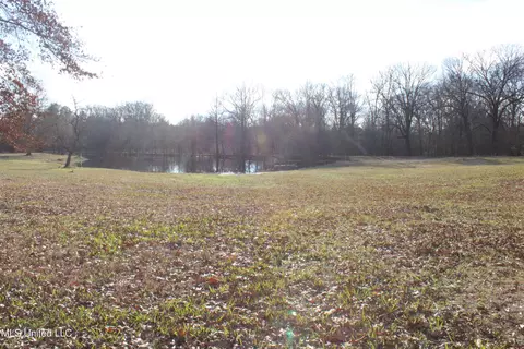 4299 Byhalia Rd, Hernando, MS 38632 photo 3