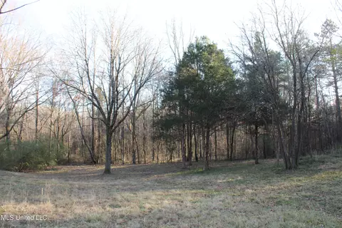 4299 Byhalia Rd, Hernando, MS 38632 photo 18