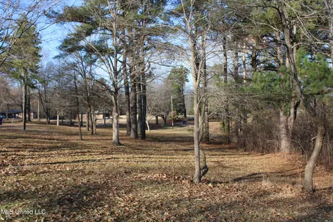 4299 Byhalia Rd, Hernando, MS 38632 photo 2