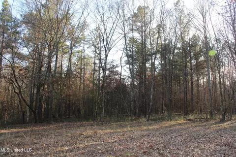 4299 Byhalia Rd, Hernando, MS 38632 photo 30