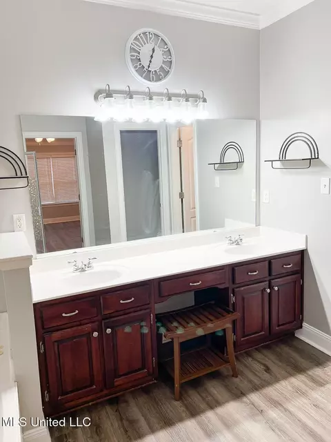 Bath - 1579 Ivy Dr, Hernando, MS 38632 photo 1 of 7