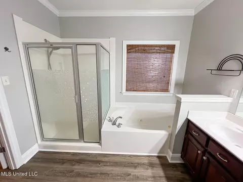 Bath - 1579 Ivy Dr, Hernando, MS 38632 photo 2 of 7