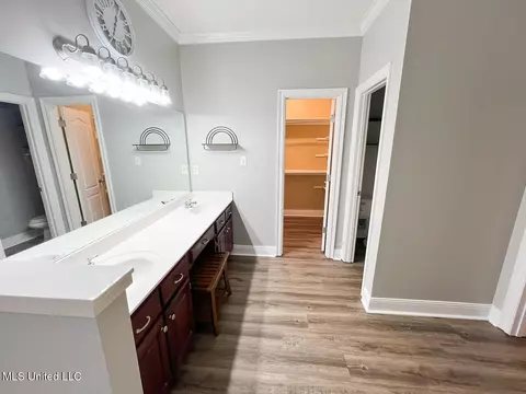 Bath - 1579 Ivy Dr, Hernando, MS 38632 photo 3 of 7