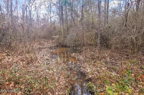 100 Breckenridge Dr, Brandon, MS 39042 photo 7