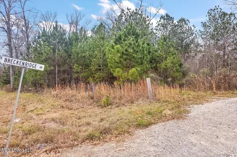 100 Breckenridge Dr, Brandon, MS 39042 photo 12