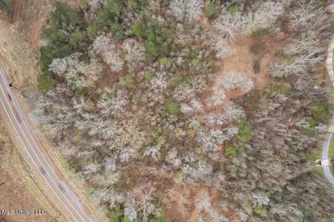 100 Breckenridge Dr, Brandon, MS 39042 photo 9