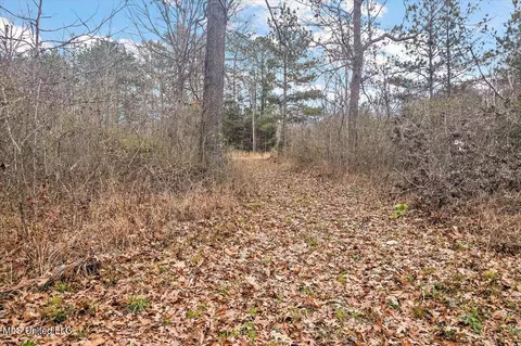 100 Breckenridge Dr, Brandon, MS 39042 photo 13