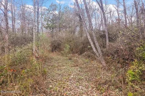 100 Breckenridge Dr, Brandon, MS 39042 photo 10
