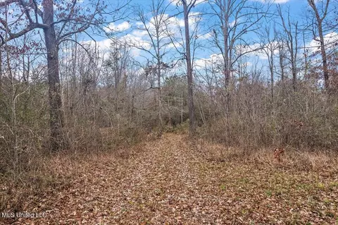 100 Breckenridge Dr, Brandon, MS 39042 photo 11