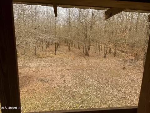 0 Red Rock Rd, Rolling Fork, MS 39159 photo 16