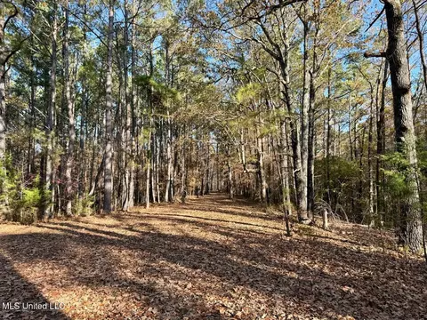 2 Do Rd, Lamar, MS 38642 photo 23