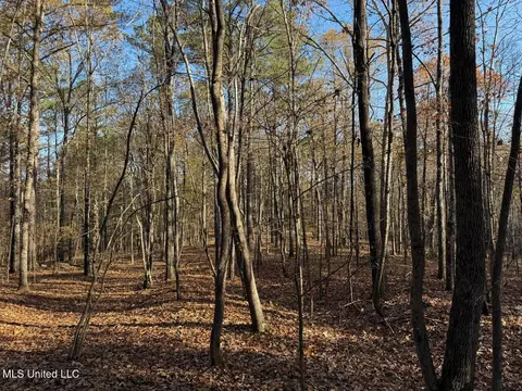 2 Do Rd, Lamar, MS 38642 photo 20