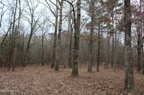 2 Do Rd, Lamar, MS 38642 photo 61