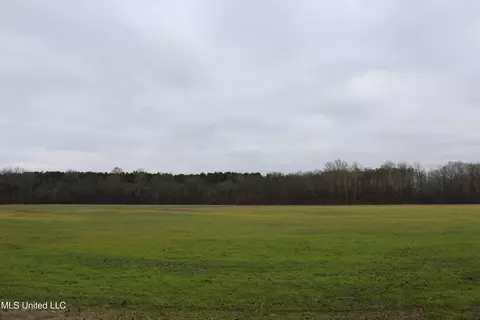 2 Do Rd, Lamar, MS 38642 photo 48