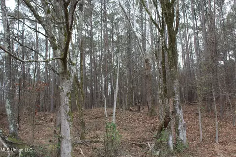 2 Do Rd, Lamar, MS 38642 photo 50
