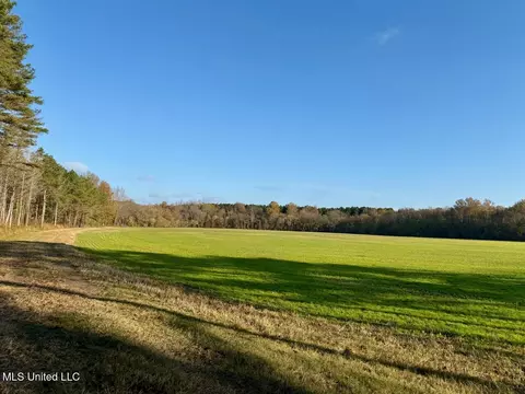 2 Do Rd, Lamar, MS 38642 photo 8