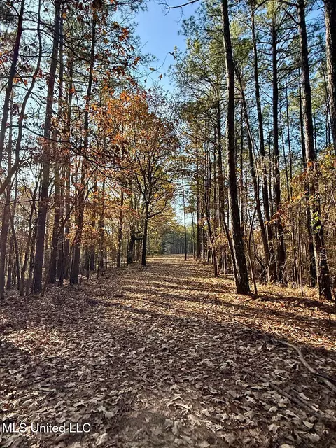 2 Do Rd, Lamar, MS 38642 photo 21