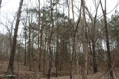 2 Do Rd, Lamar, MS 38642 photo 96