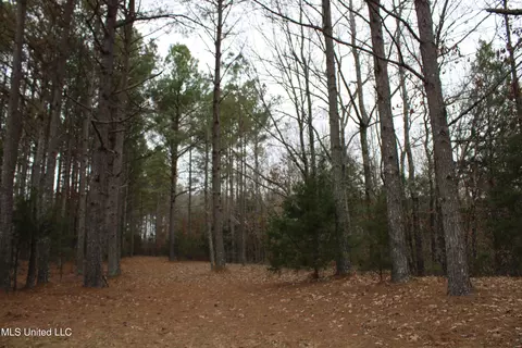 2 Do Rd, Lamar, MS 38642 photo 93
