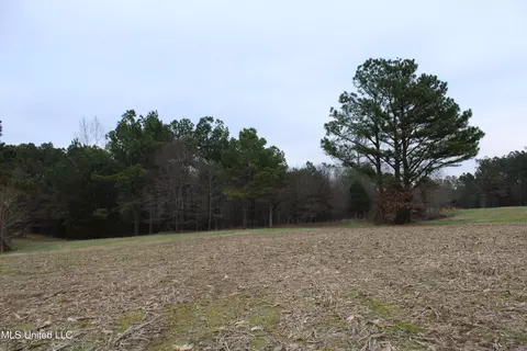 2 Do Rd, Lamar, MS 38642 photo 72