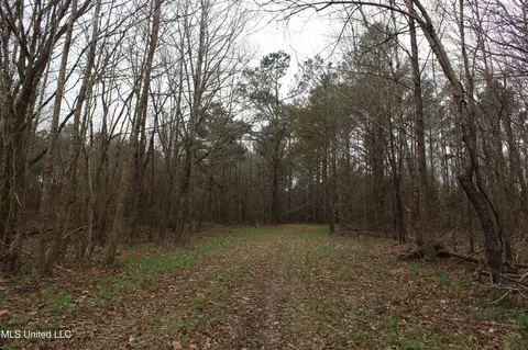 2 Do Rd, Lamar, MS 38642 photo 55