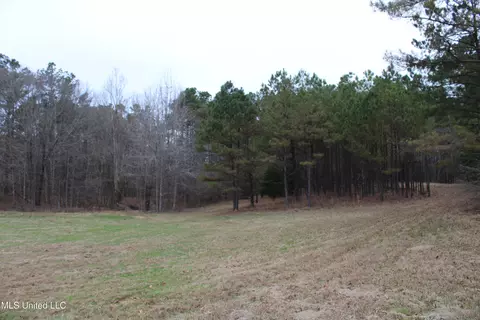 2 Do Rd, Lamar, MS 38642 photo 68