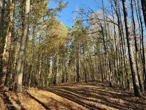 2 Do Rd, Lamar, MS 38642 photo 37