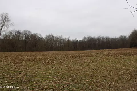 2 Do Rd, Lamar, MS 38642 photo 86