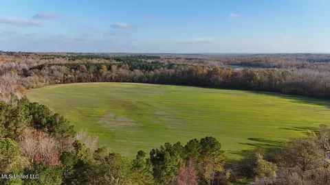 2 Do Rd, Lamar, MS 38642 photo 3