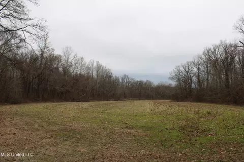 2 Do Rd, Lamar, MS 38642 photo 82